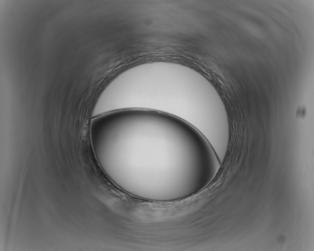 X0000095880033200801110815