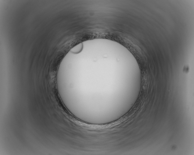 X0000095880034200801110815