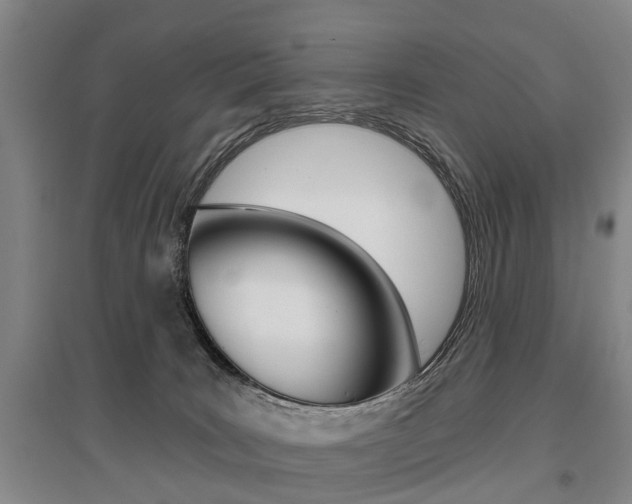 X0000095880035200801110815