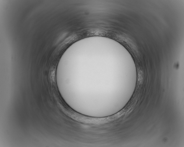 X0000095880036200801110815