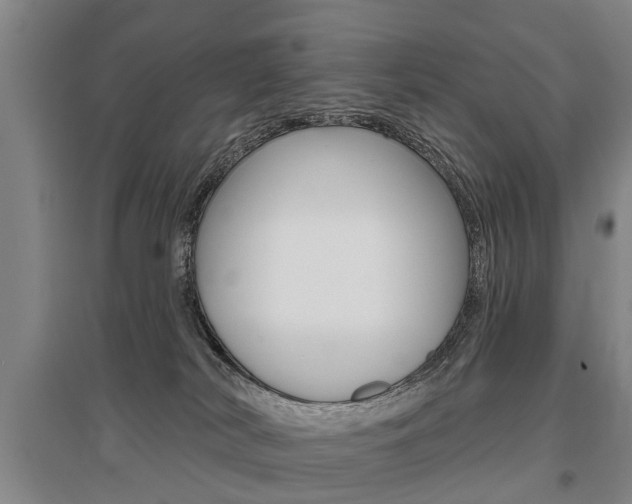 X0000095880038200801110815