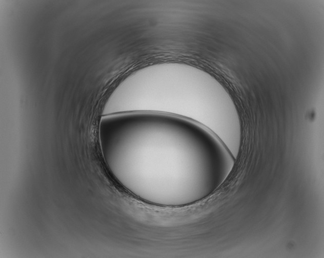X0000095880039200801110815
