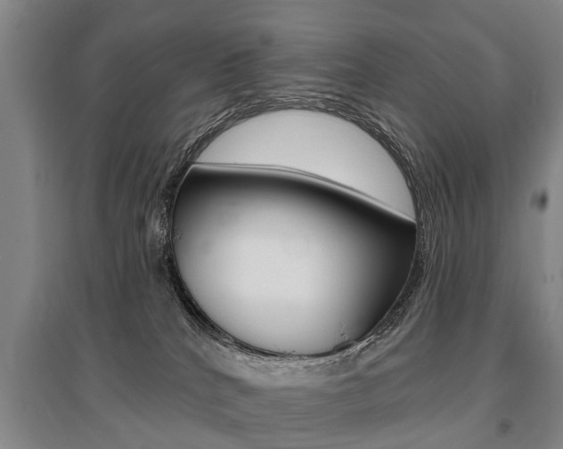 X0000095880040200801110815
