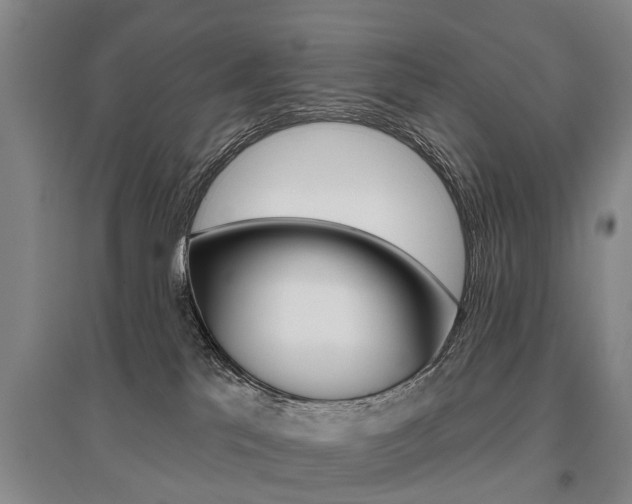 X0000095880041200801110815