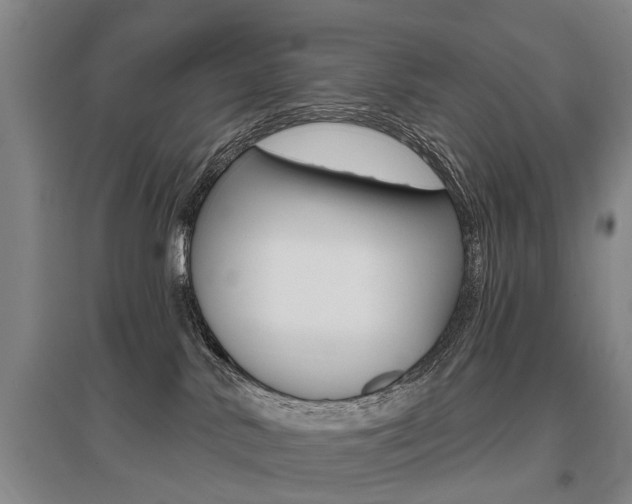 X0000095880042200801110815