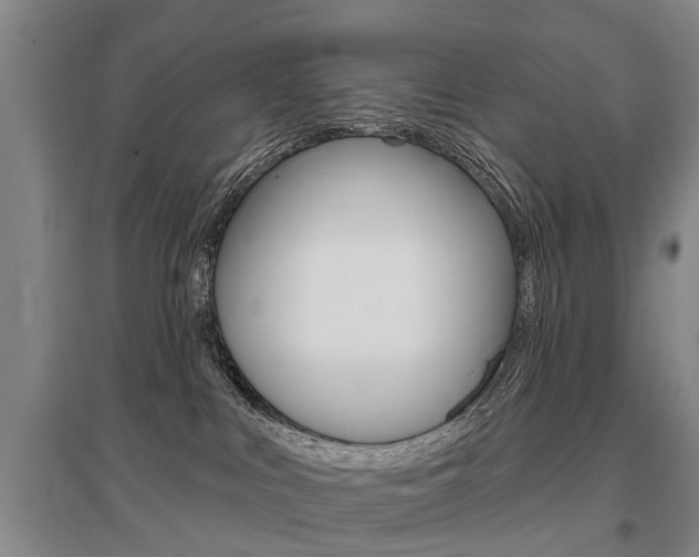 X0000095880043200801110815