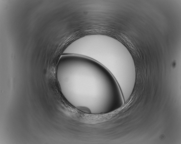 X0000095880045200801110815
