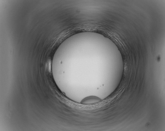 X0000095880046200801110815