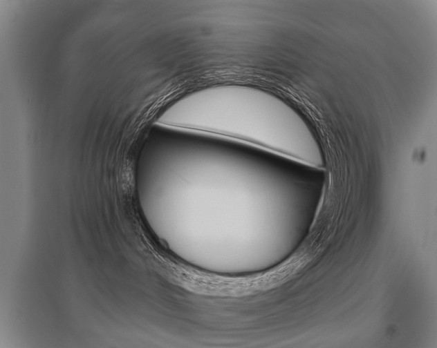 X0000095880048200801110815