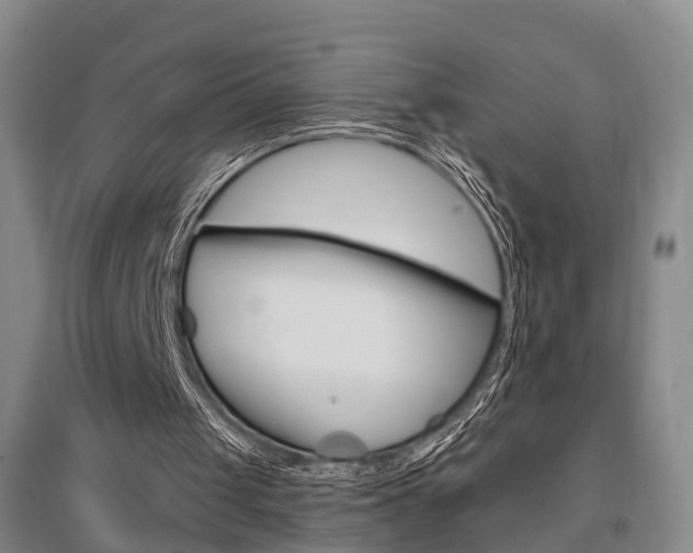 X0000095880049200801110814