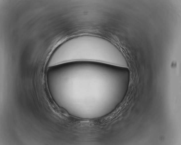X0000095880050200801110814