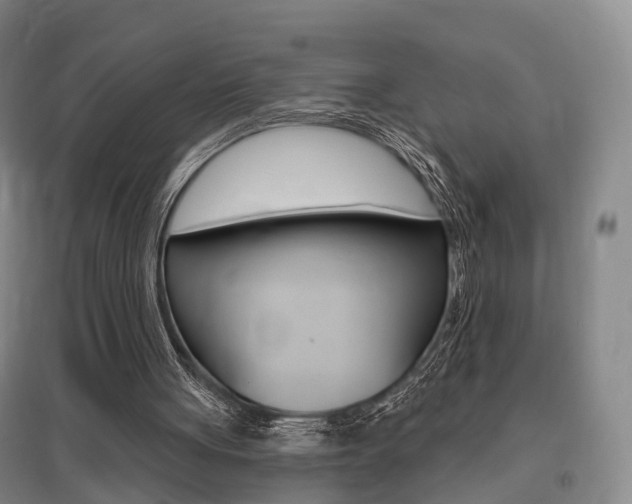 X0000095880051200801110814