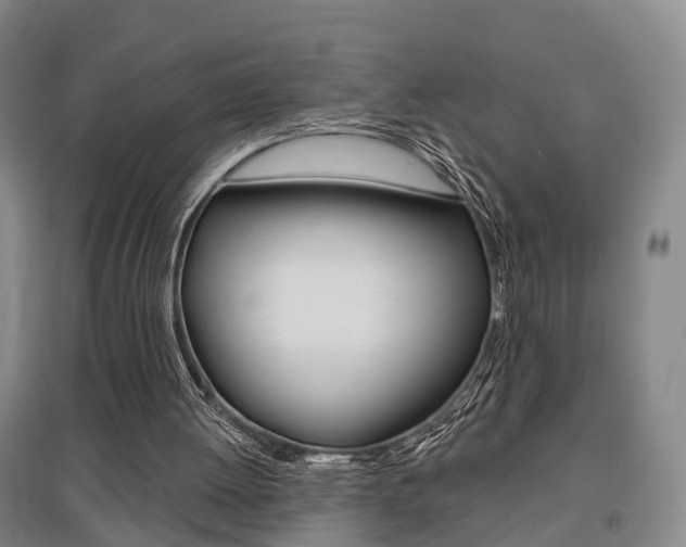 X0000095880052200801110814