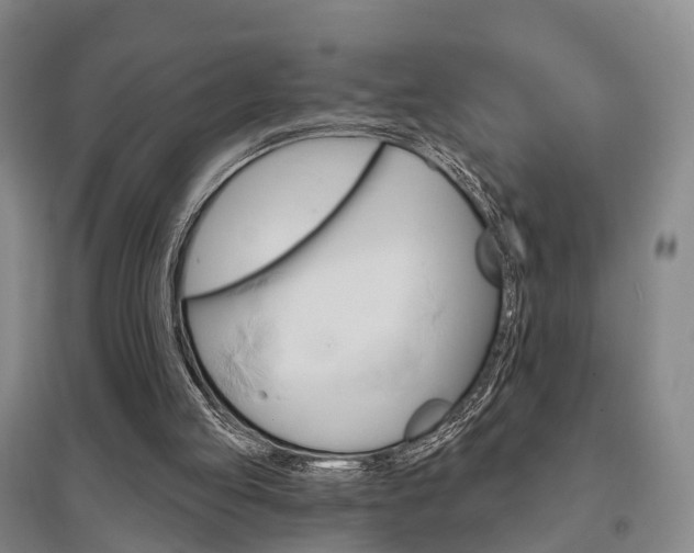 X0000095880053200801110814