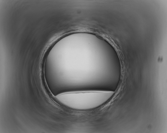 X0000095880055200801110814