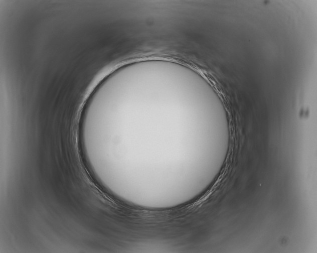X0000095880056200801110814