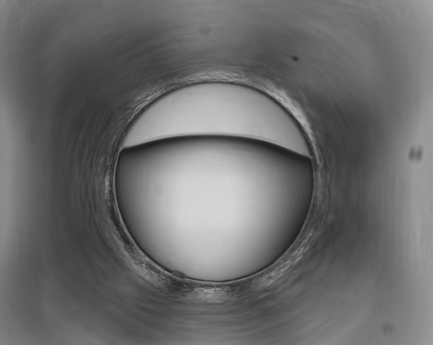 X0000095880057200801110814