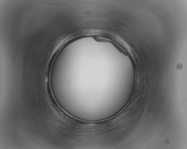 X0000095880059200801110814