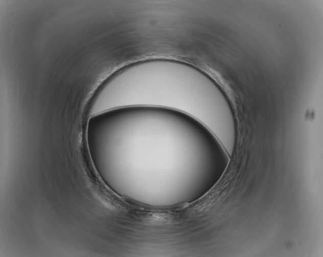 X0000095880060200801110814