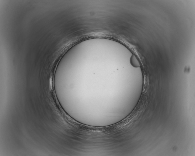 X0000095880061200801110814