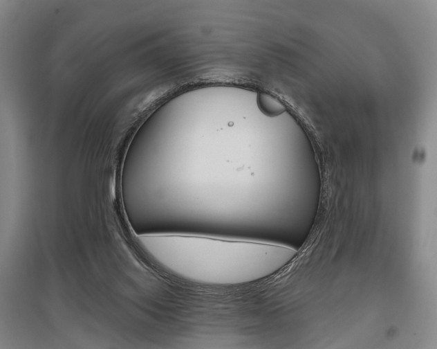 X0000095880062200801110814