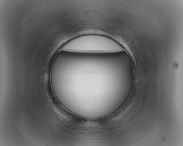 X0000095880063200801110814
