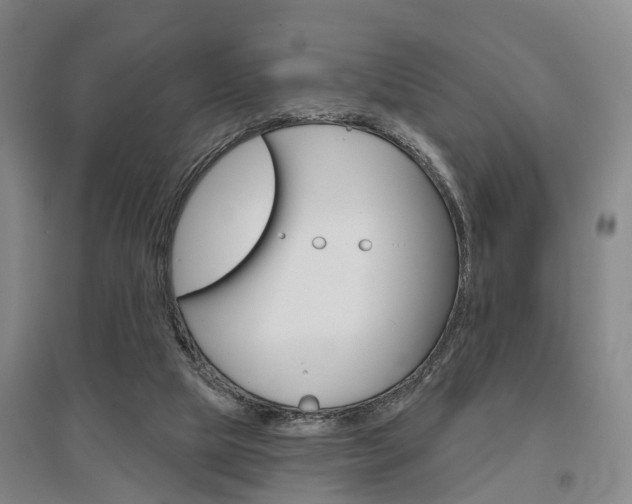 X0000095880065200801110814
