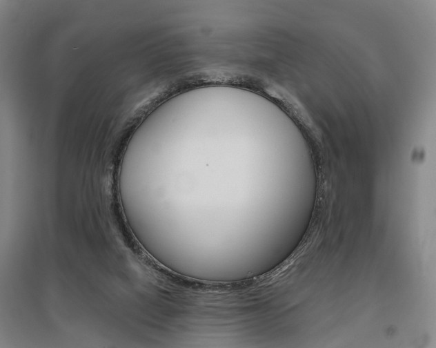 X0000095880066200801110815