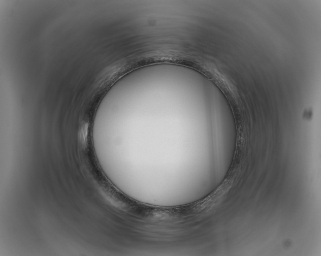 X0000095880070200801110815