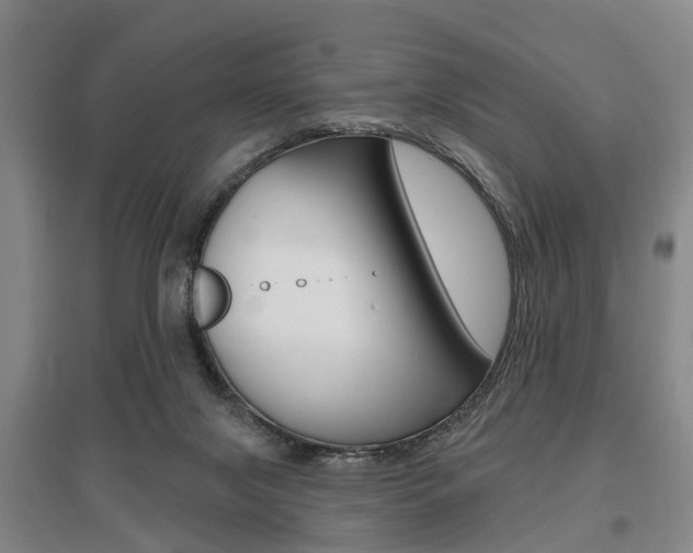 X0000095880071200801110815