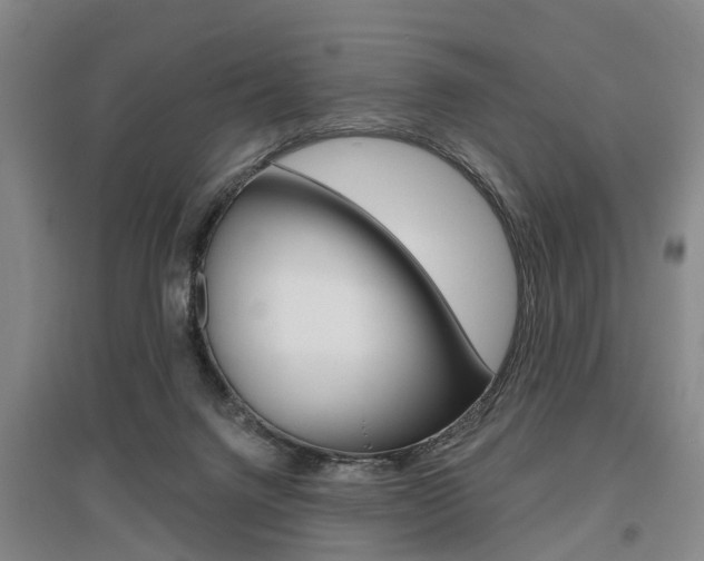 X0000095880072200801110815