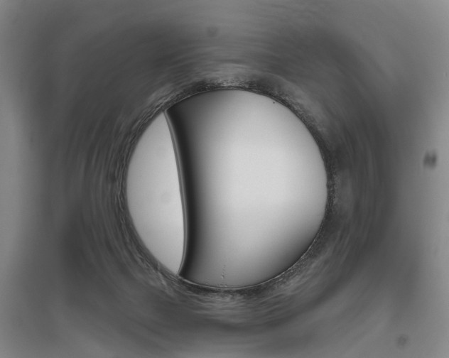 X0000095880073200801110815