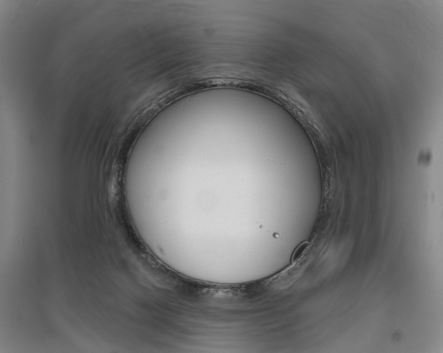 X0000095880074200801110815