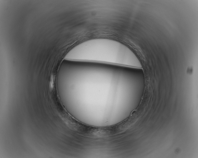 X0000095880075200801110815