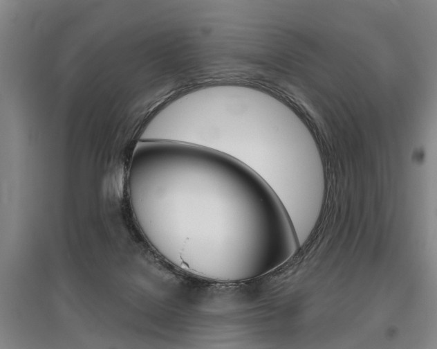 X0000095880076200801110815