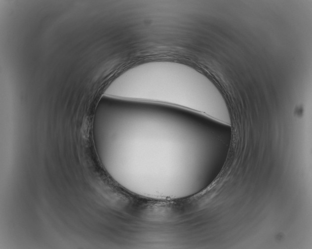 X0000095880078200801110815