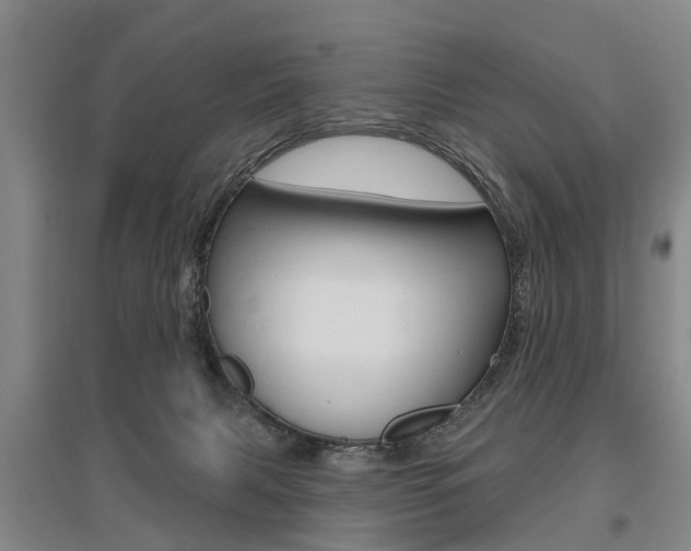 X0000095880079200801110815