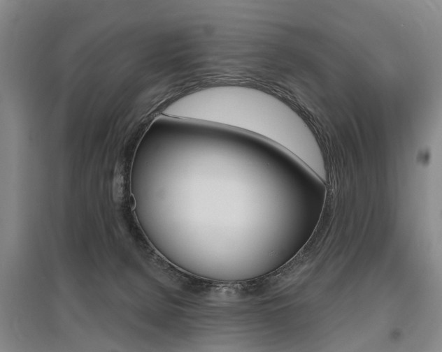 X0000095880080200801110815