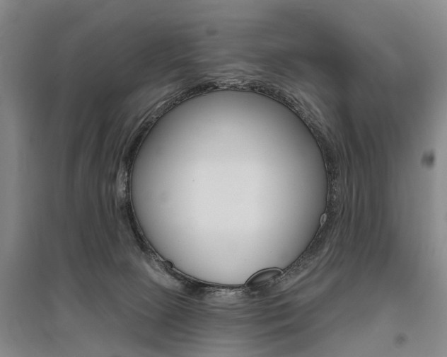 X0000095880081200801110815