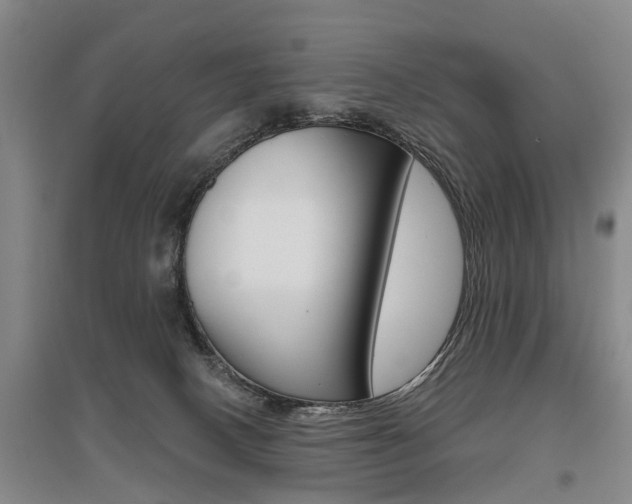 X0000095880082200801110815