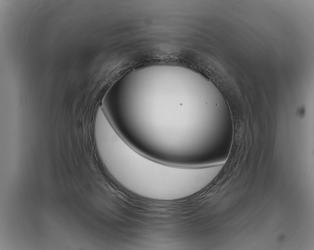 X0000095880084200801110815