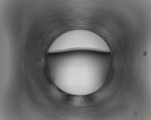 X0000095880085200801110815