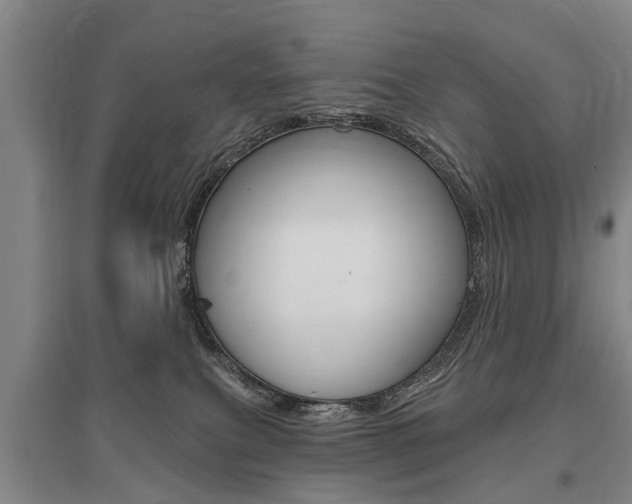 X0000095880087200801110815