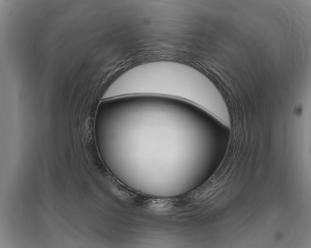 X0000095880088200801110815