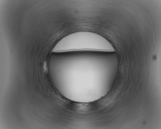 X0000095880089200801110815