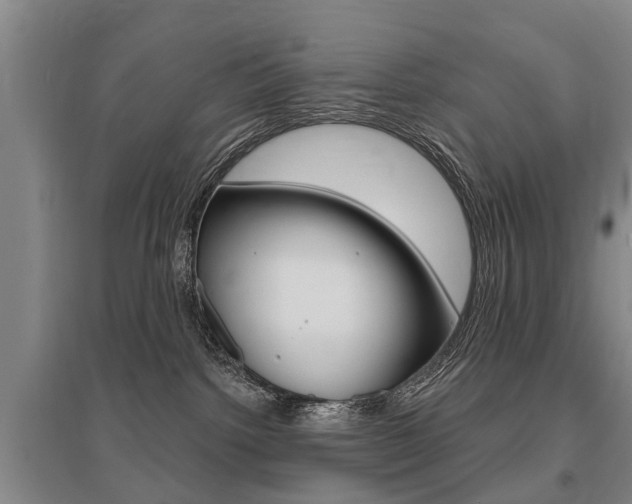 X0000095880092200801110815