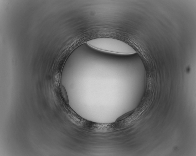 X0000095880093200801110815