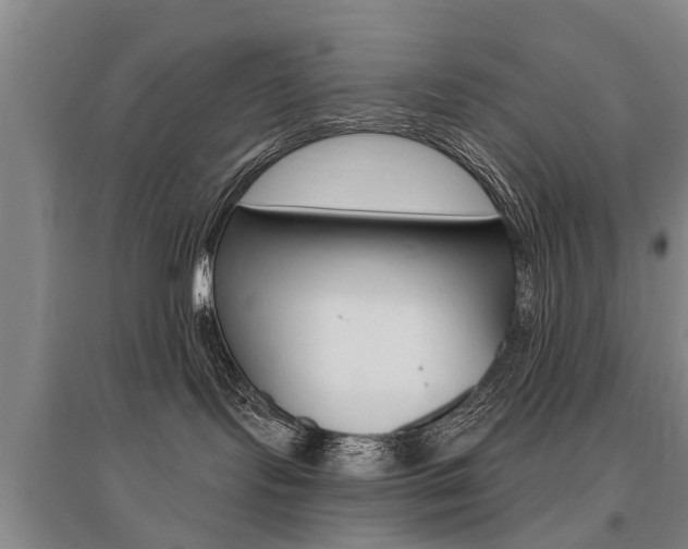 X0000095880095200801110815