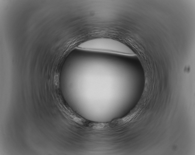 X0000095880096200801110815