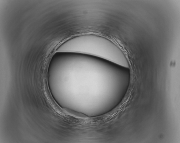 X0000095880097200801110814